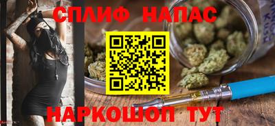 мдпв Пенза