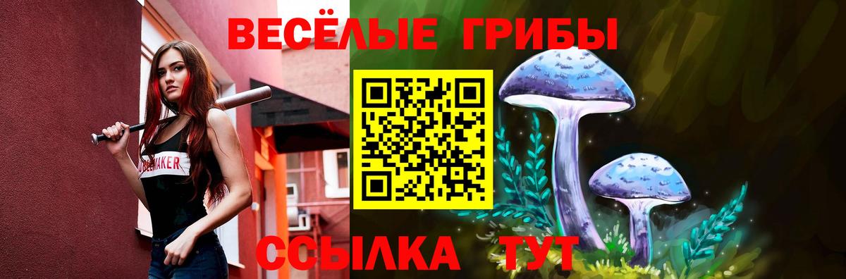 Галлюциногенные грибы GOLDEN TEACHER Северск